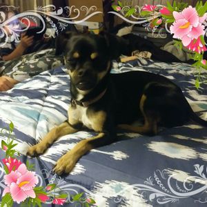 Meet your Posher, Mandy